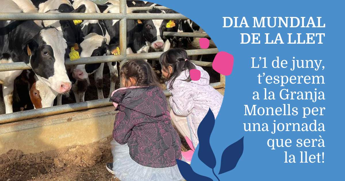Dia Mundial de la LLet a la Granja de Monells