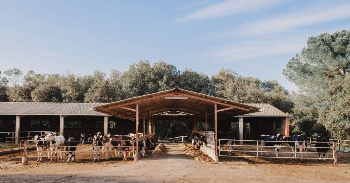 Cooperativisme granja 