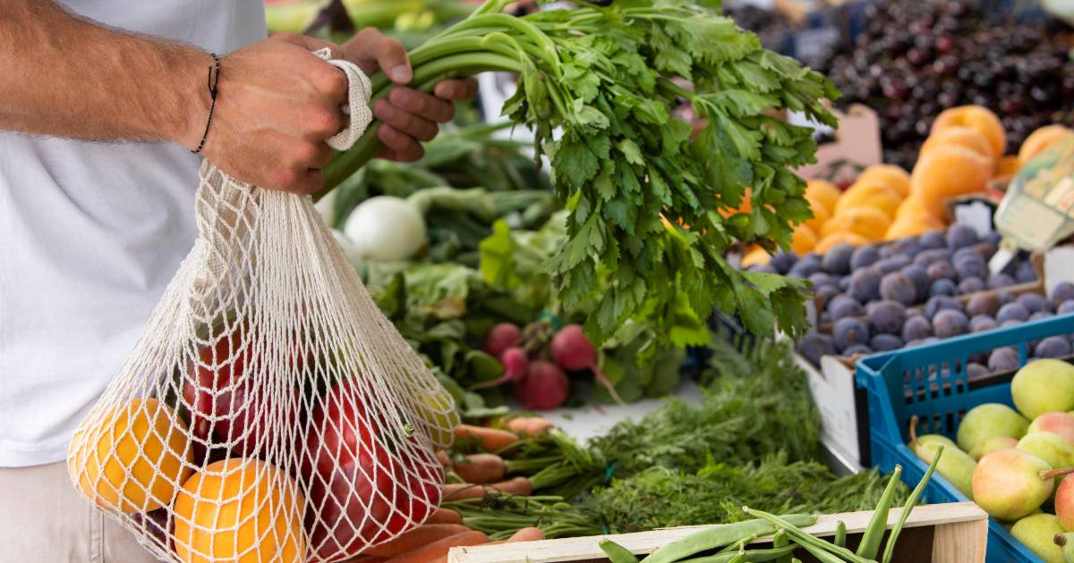 La dieta mediterrània en les diferents estapes de la vida