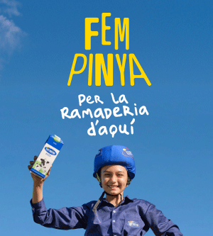 Fem pinya per la ramaderia d'aquí, per casa nostra, per la nostra llengua. Descobreix la nova campanya de Llet Nostra